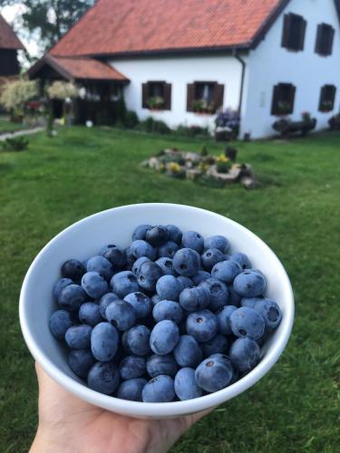 Villa Siedlisko Bor�wkowo