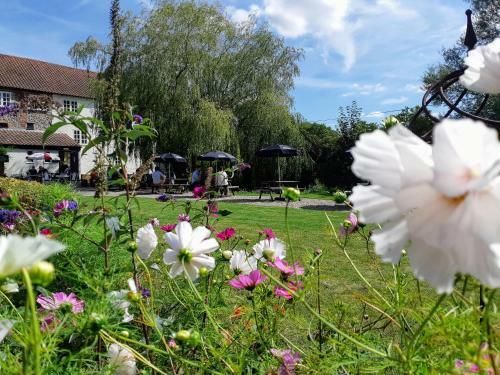 Hostal Sculthorpe Mill