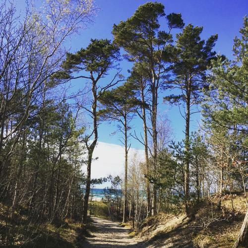 Lodge Laura - Domki Z Saun? Nad Morzem