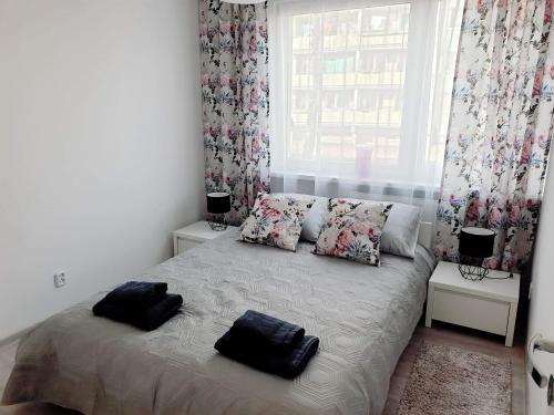 Apartamento Pokoje Go?cinne Uzdrovisco Cieplice