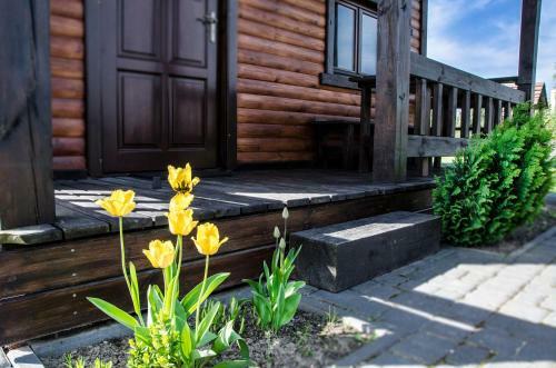 Lodge Domek Nad Szel?giem