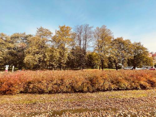 Apartamenty Ktw Park ?l?ski