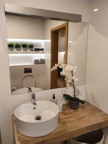 Apartamento Nowe Ptasie, Osiedle Ptasie, Katowice