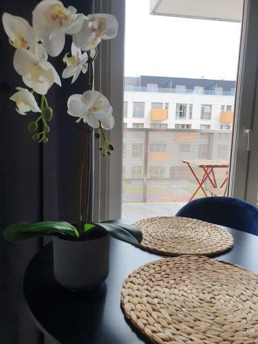 Apartamento Nowe Ptasie, Osiedle Ptasie, Katowice