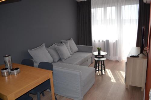 Vitreyd Apartamenty Sokolska 33