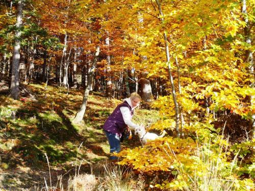 Apartamento Zimorodek