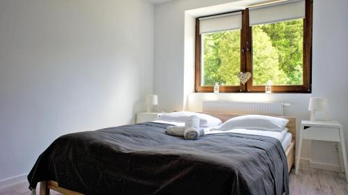 Apartamenty Karkonoskie