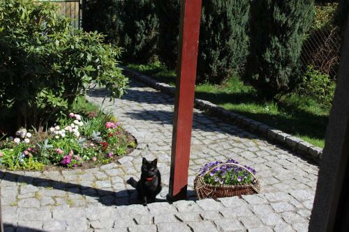 Apartament Kameralny