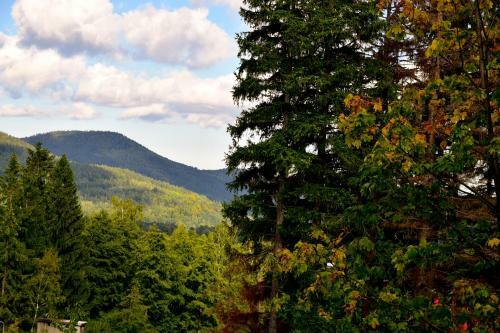 Apartament Szarotka - Apartamentuj