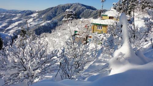 Hotel Hari Om Paradise