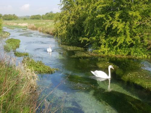 Bed & Breakfast Highfield Farm