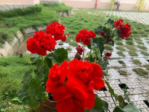 Hotel Bogar Palace Kodaikanal