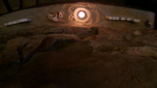 Diamonds / Zanzi W Krainie Alicji