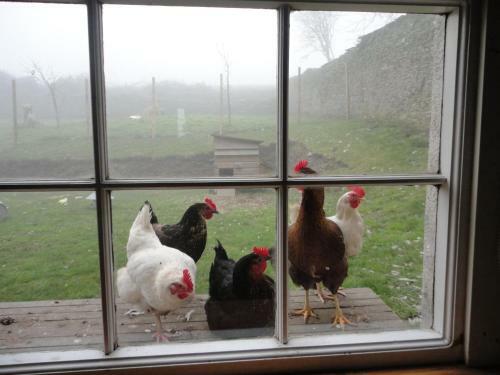 Bed & Breakfast Rame Barton