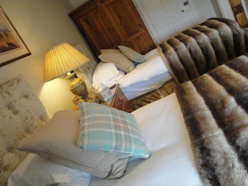 Bed & Breakfast Cary Fitzpaine House