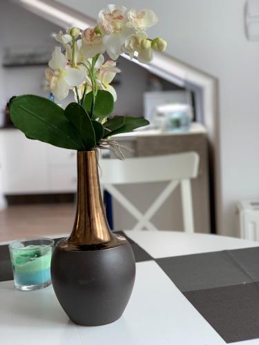 Apartament45