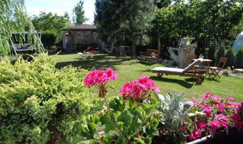 Pokoje, Apartament Na Wyspie