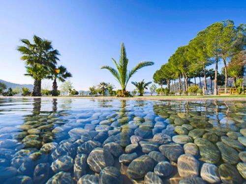 1 Bedroom Seafront Apart W/pool, Garden, Free Wifi