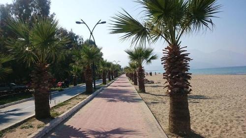 Apartamento Adal?fe Evler?