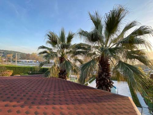 Palmera Villa Sapanca