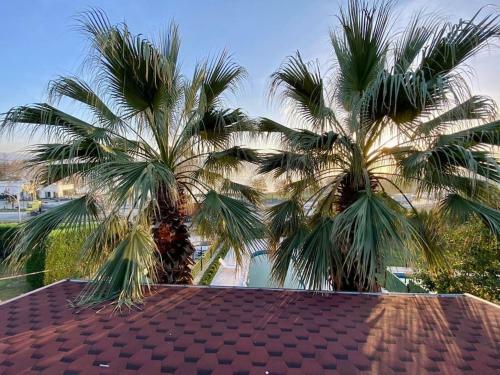 Palmera Villa Sapanca