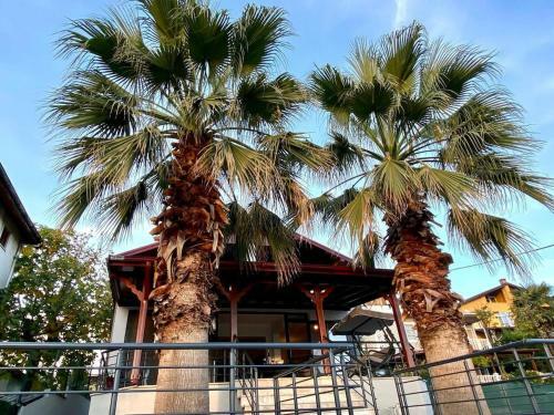 Palmera Villa Sapanca