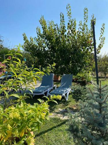 Villa Ye?il Bah�e �iftlik Evi