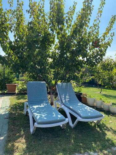 Villa Ye?il Bah�e �iftlik Evi