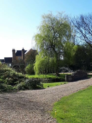 Bed & Breakfast Glyndwr Vineyard
