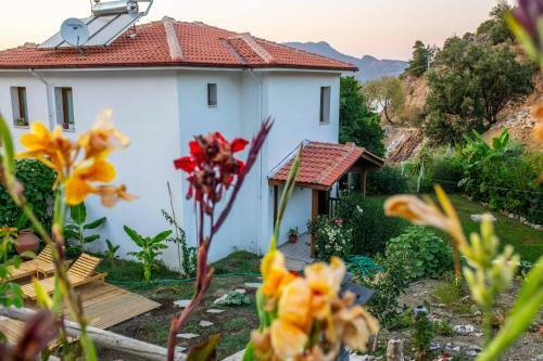 Jasmin Villa With Pool Daily Weekly Rentals