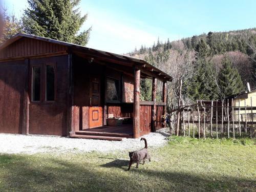 Lodge Zb�jnicki Ost?p-nocleg Trapera