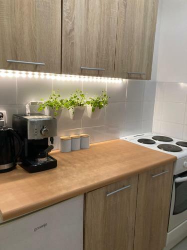 Mi?towy Zak?tek Apartment