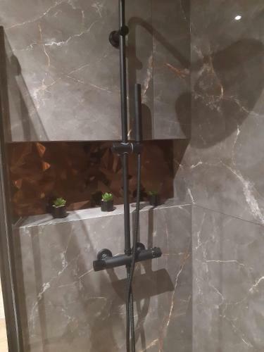 Apartament Przy Jeziorze Czorsztynskim