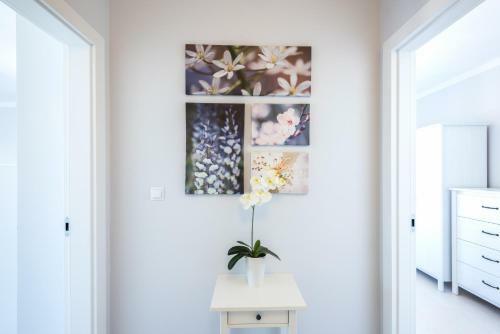 Apartamenty Navigator-port View