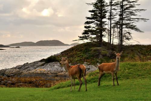 Lochinver Holiday Lodges & Cottages