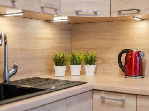 Feniks Apartament