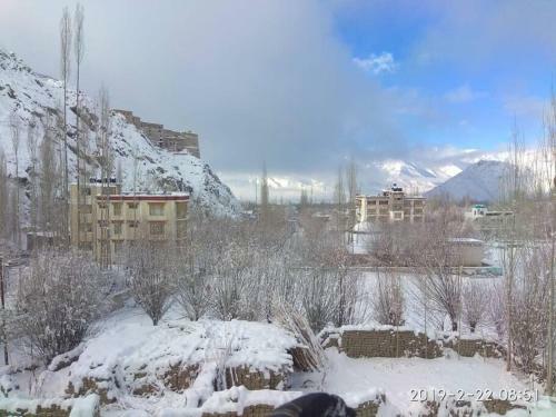 Hotel Snow Lion Ladakh