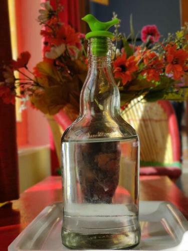 Hotel Snow Lion Ladakh