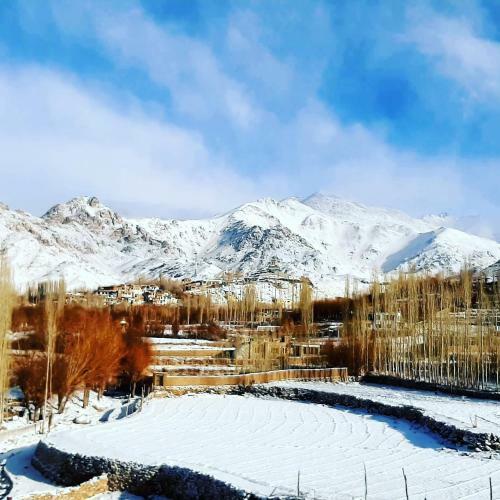 Hostal Ladakh Country Inn