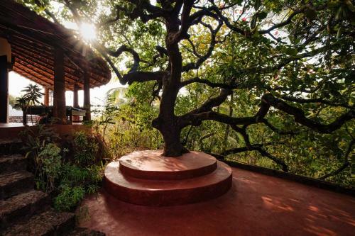 Hostal The Temple Jungle House