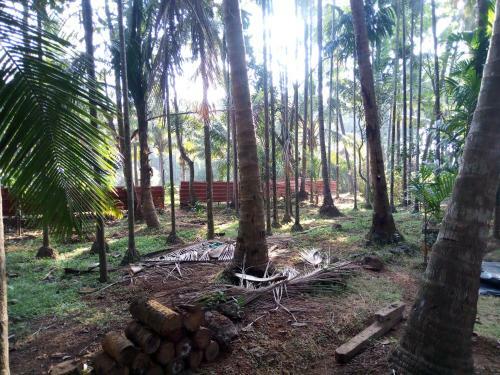 Mandrem Restzone 4bhk