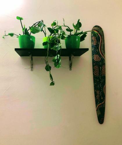 Apartamento Adorable 2bhk In The Downtown Close To Everything