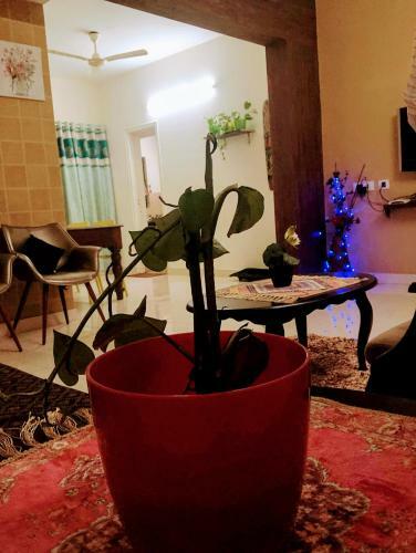Apartamento Adorable 2bhk In The Downtown Close To Everything