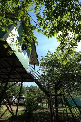 Hotel The Midway Jungle Resort