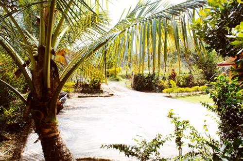 Blue Chill Estate Stay