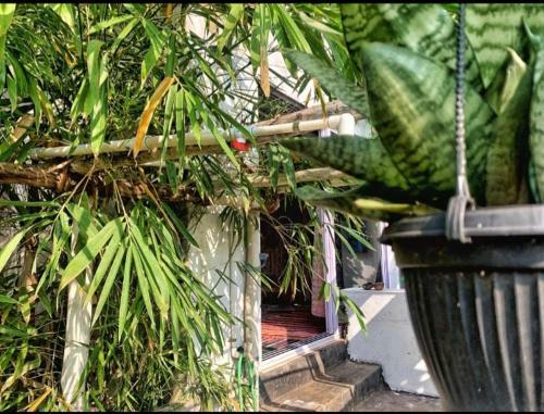 The Tiny House Goa