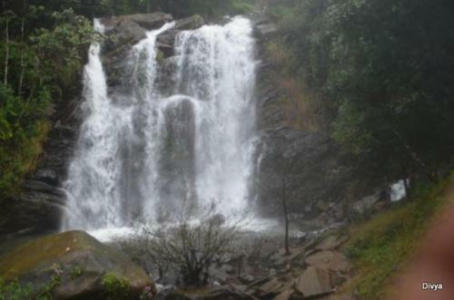 Greenfields Homestay