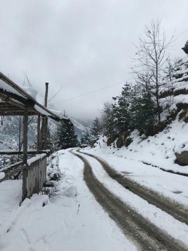 Bed & Breakfast Apple View Cottage