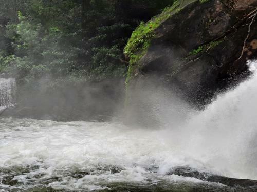 Rosegardens Eco Friendly Homestay,munnar