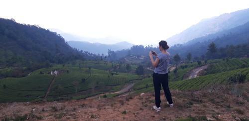 Rosegardens Eco Friendly Homestay,munnar